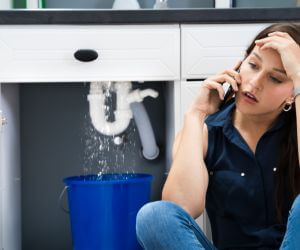 About Plumbers Pros Geraldine, AL